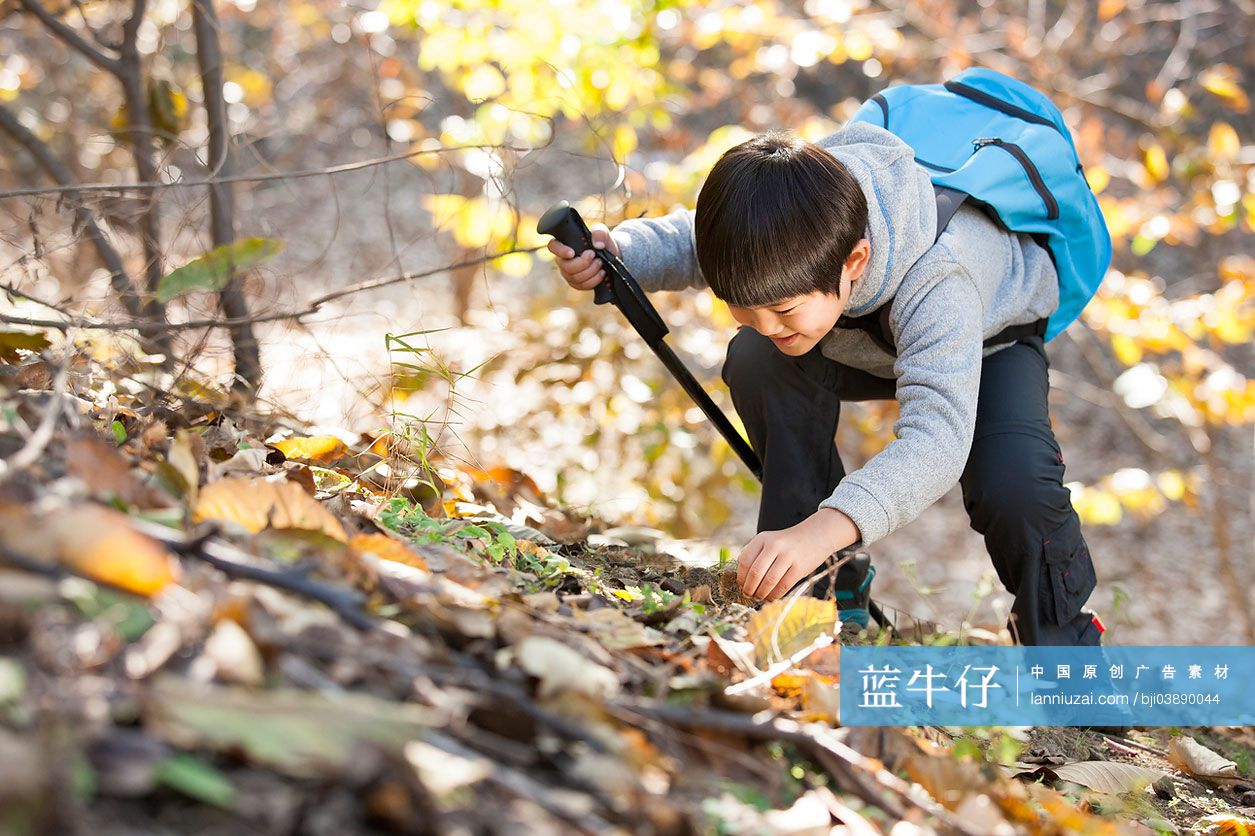 小男孩观察大自然