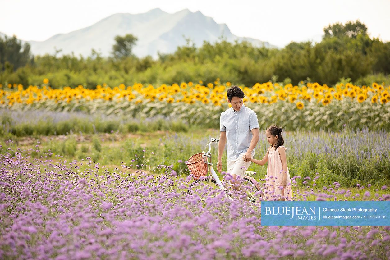 Chinese Father And Daughter In Flower Field High Res Stock Photo For