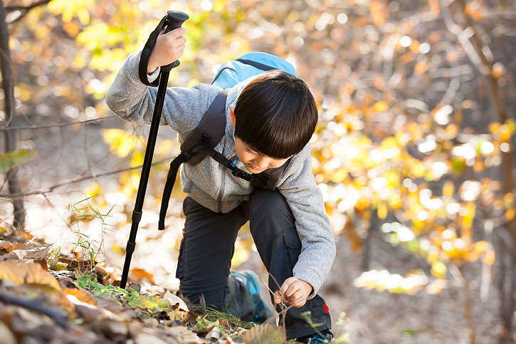 小男孩观察大自然