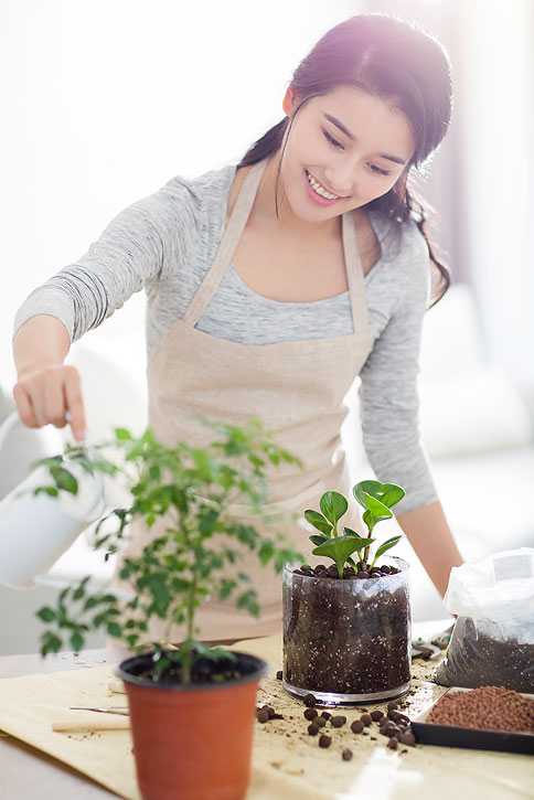 年轻女士在家浇花