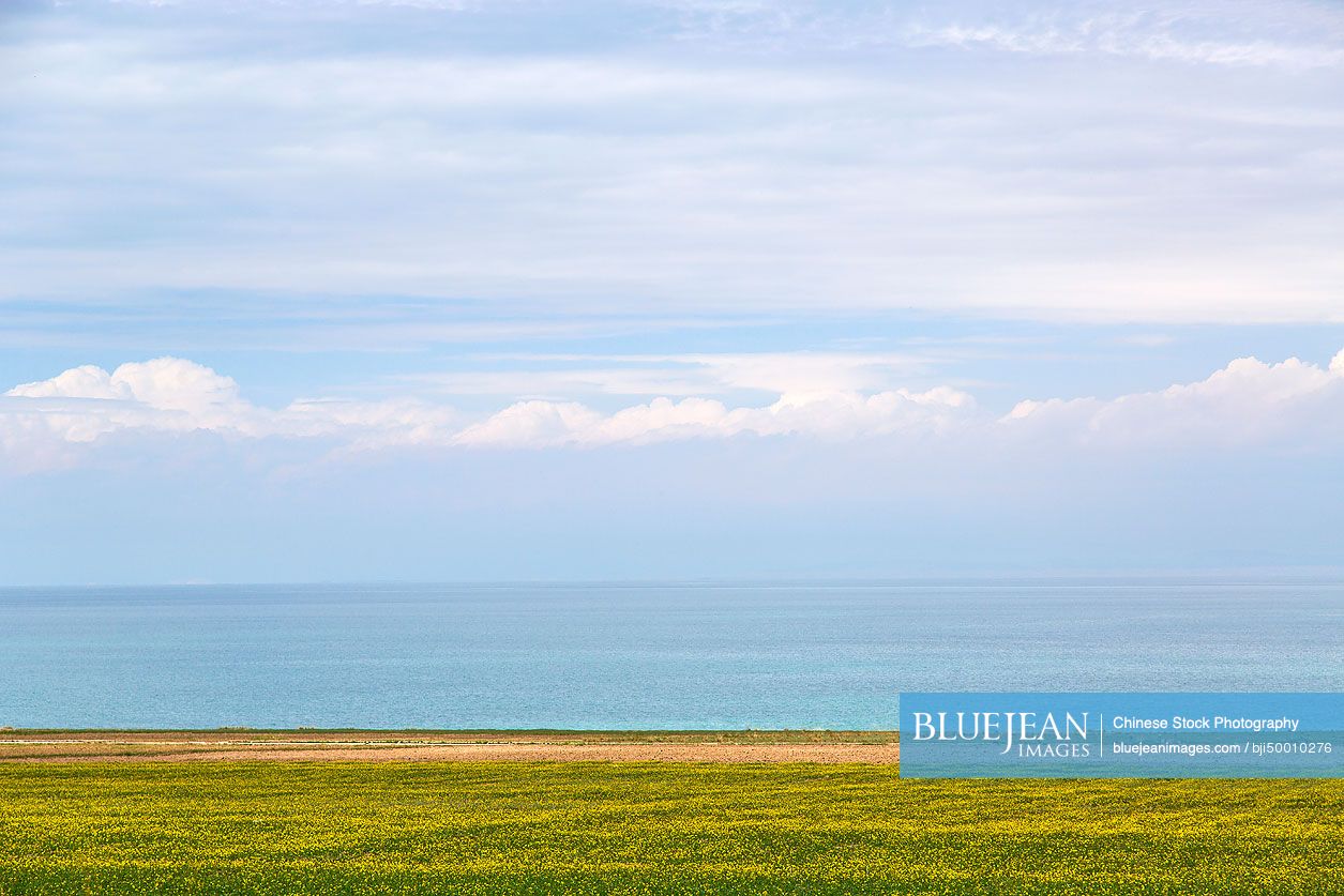 Qinghai lake in Qinghai province, China