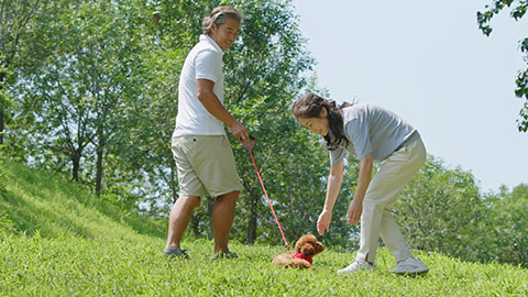 Happy mature Chinese couple playing with a cute dog,4K