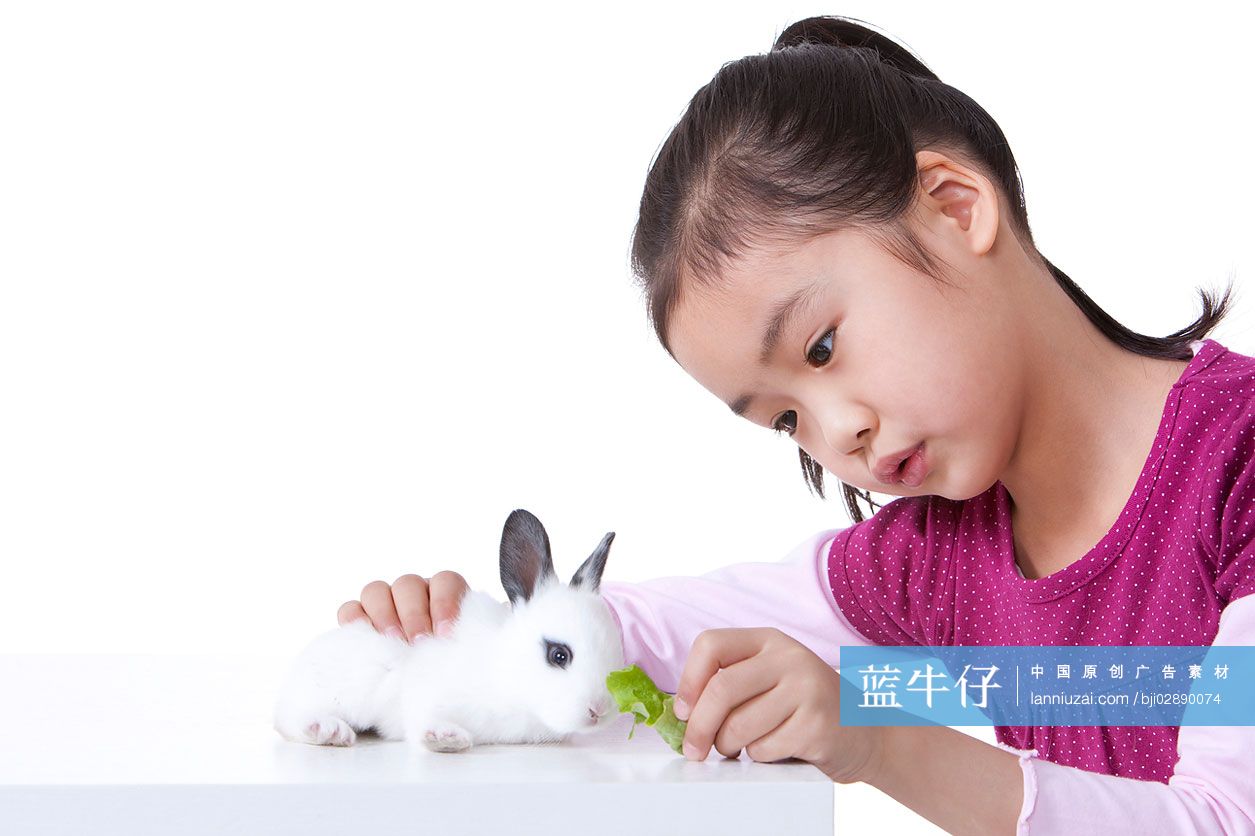 小女孩和小兔子