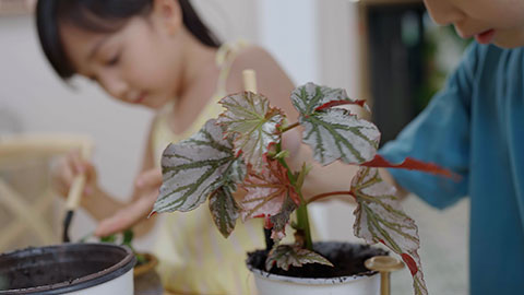 Girl and boy enjoy potting plants together at home