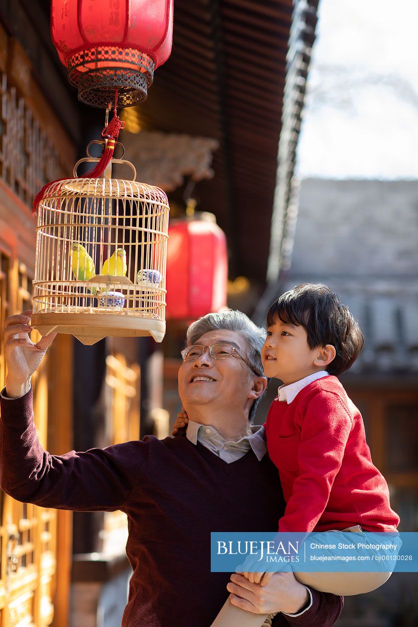 happy-chinese-grandfather-and-grandson-with-pet-birds-in-cage-high-res
