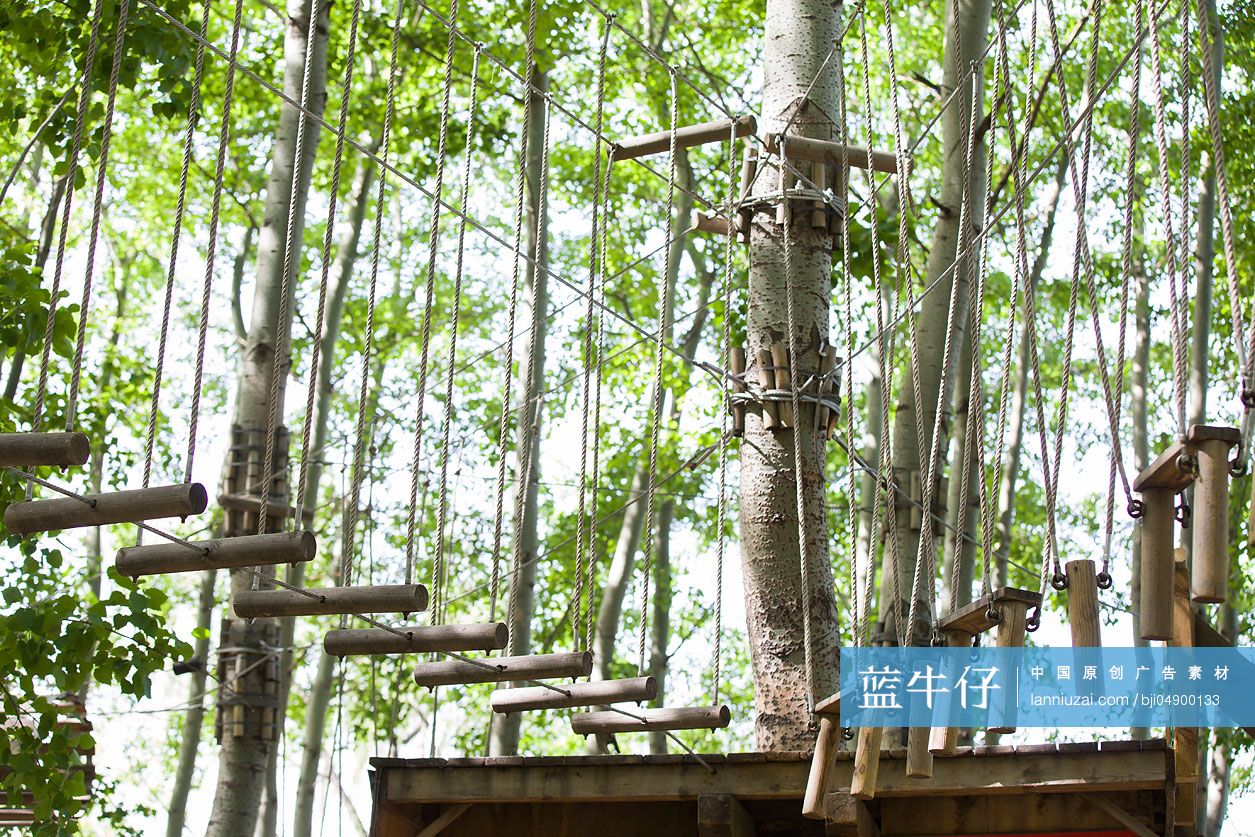 树上穿越活动