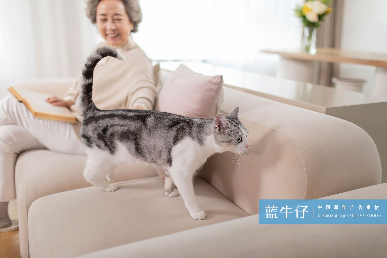 老年女子的休闲居家生活