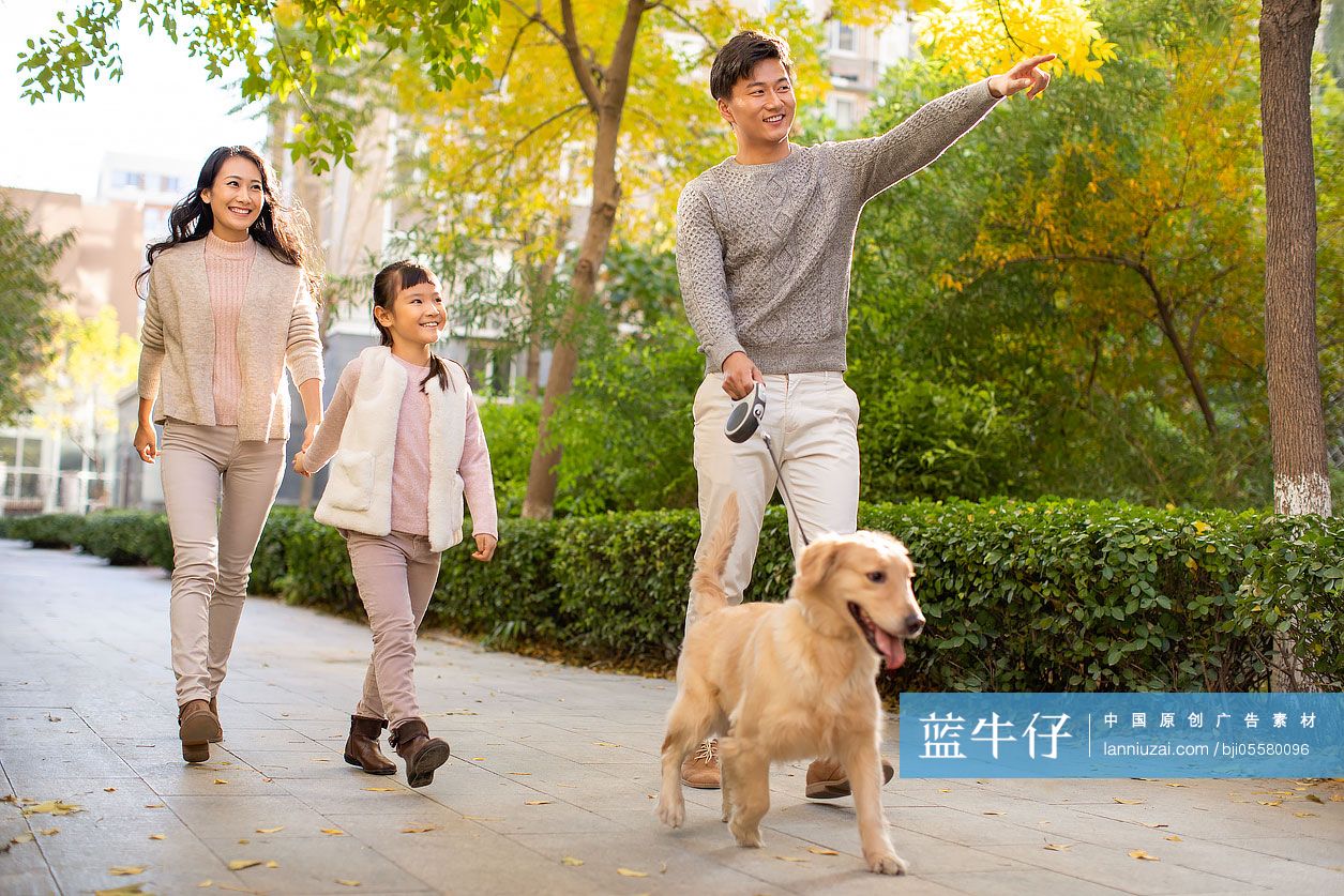 快乐的年轻家庭一起遛狗
