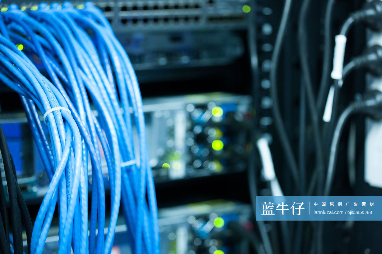 网络服务器和网线