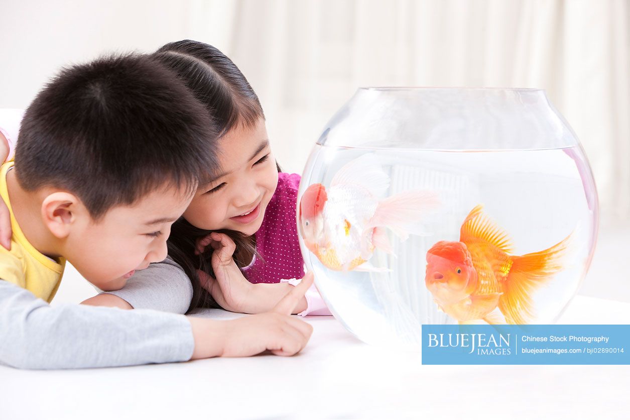 Cute Chinese children with goldfish
