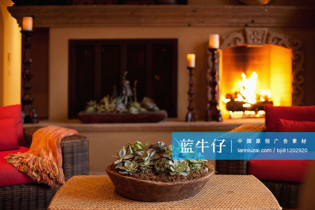 Close-up of house plant on coffee table against lit fireplace in living room at home; Scottsdale; USA