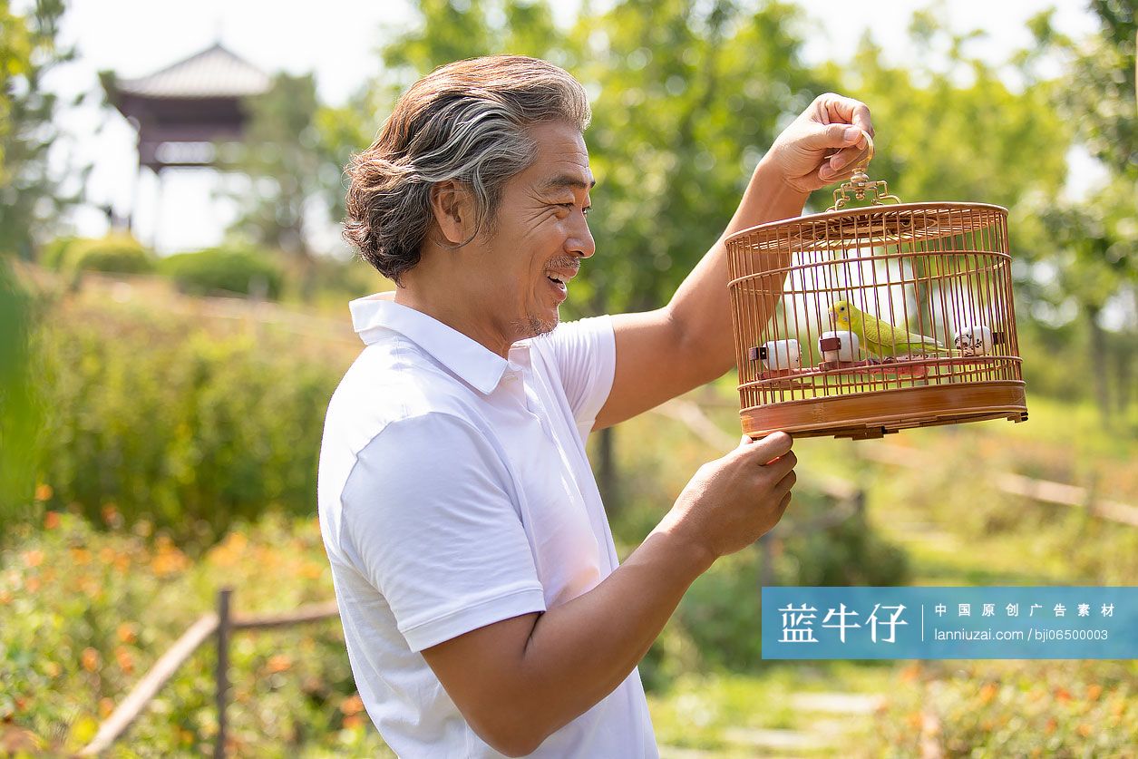 开心的中老年男子在公园遛鸟