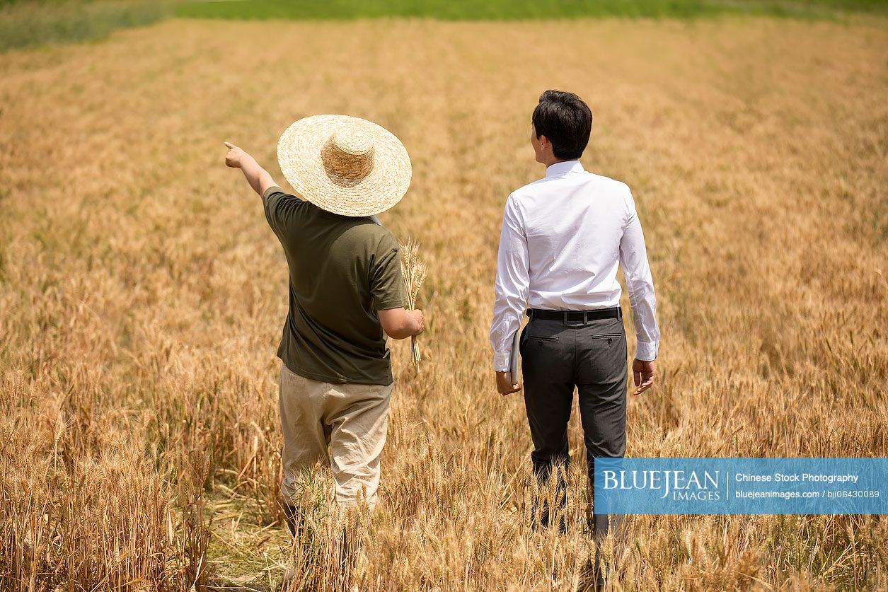 Chinese farmer talking with businessman in wheat field