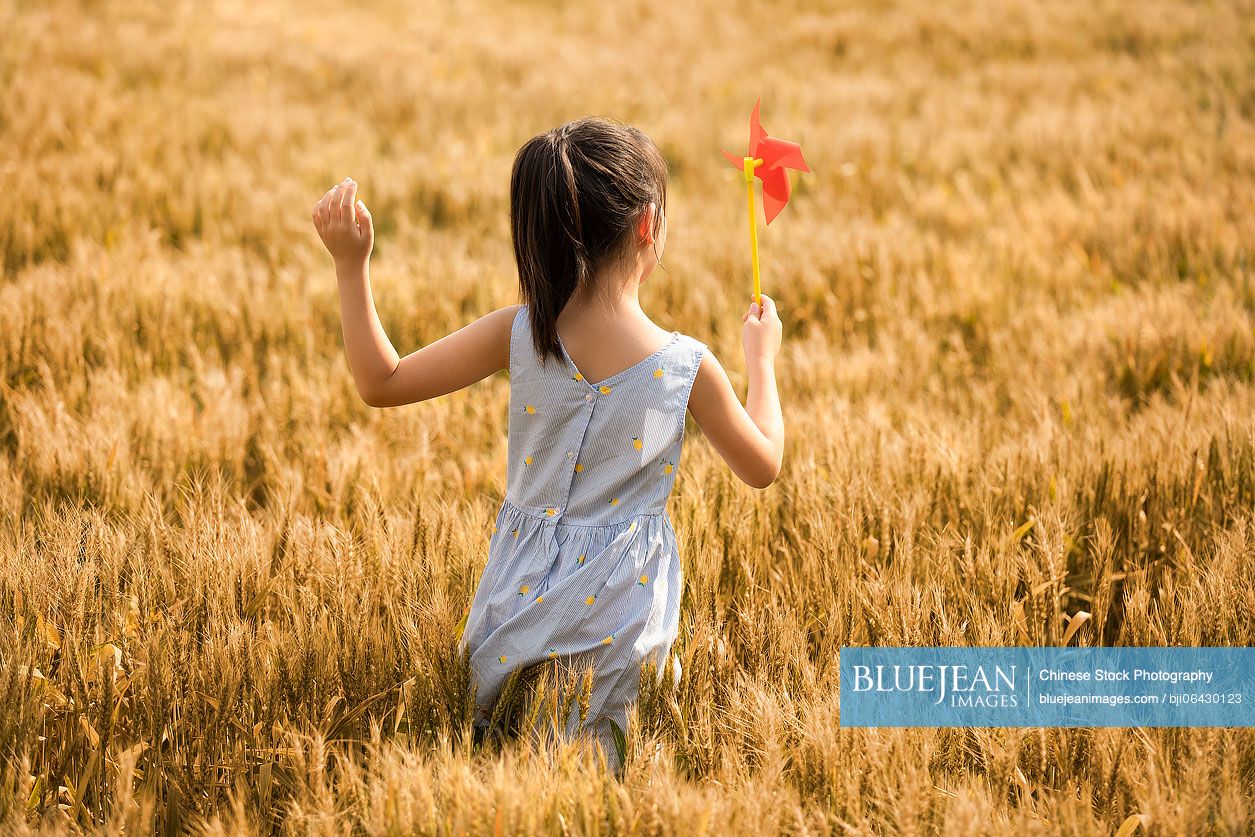 Little Chinese girl playing with paper windmill in wheat field