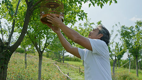 Happy mature Chinese man holding a birdcage,4K