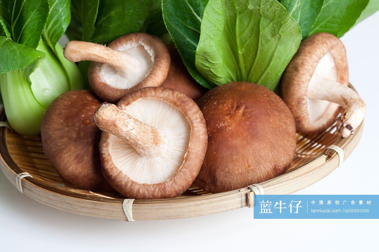 蘑菇和小油菜