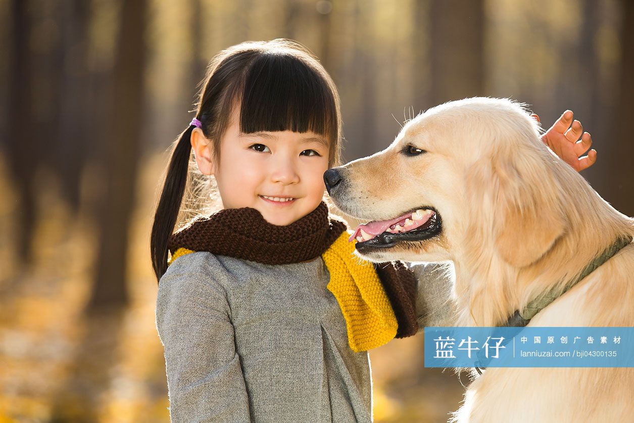 小女孩和宠物狗在秋日树林里玩耍