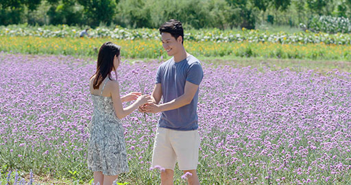 Happy young Chinese couple dating in flower field,4K