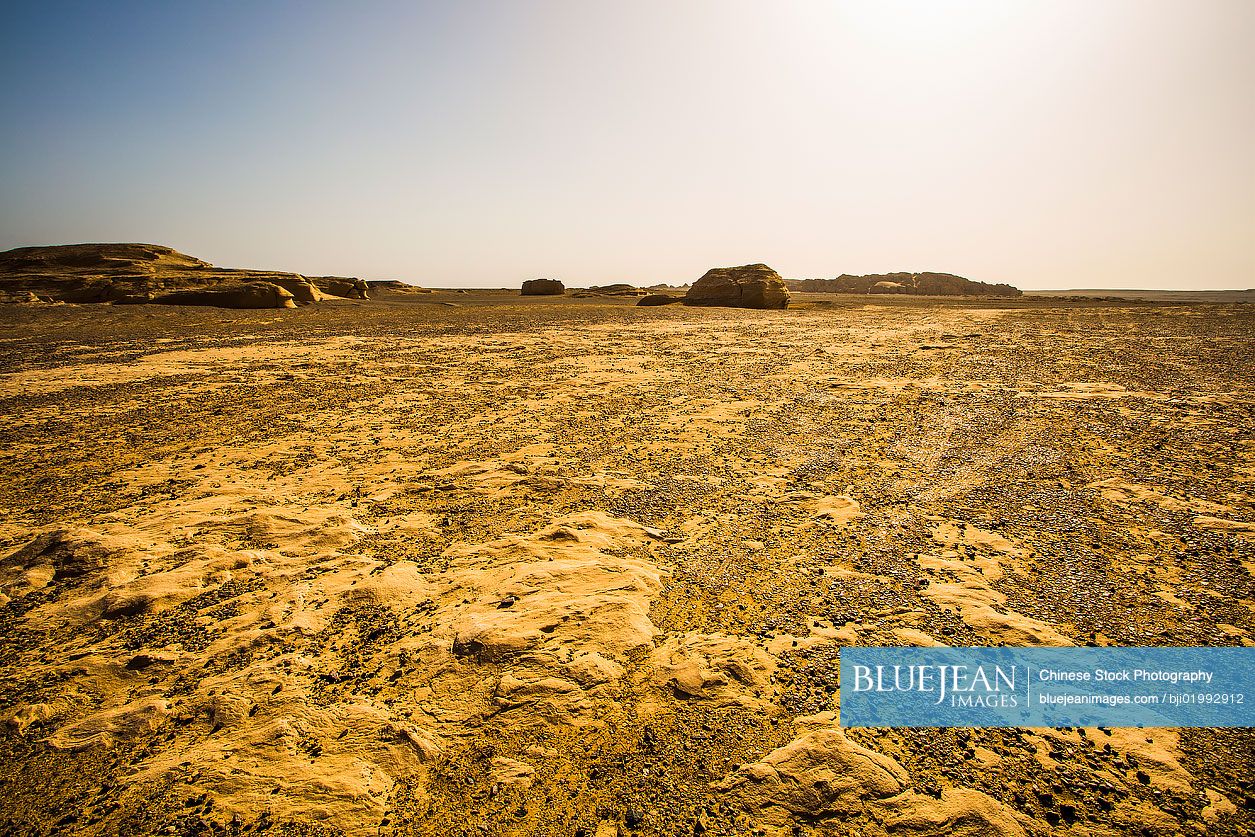 Dry desert