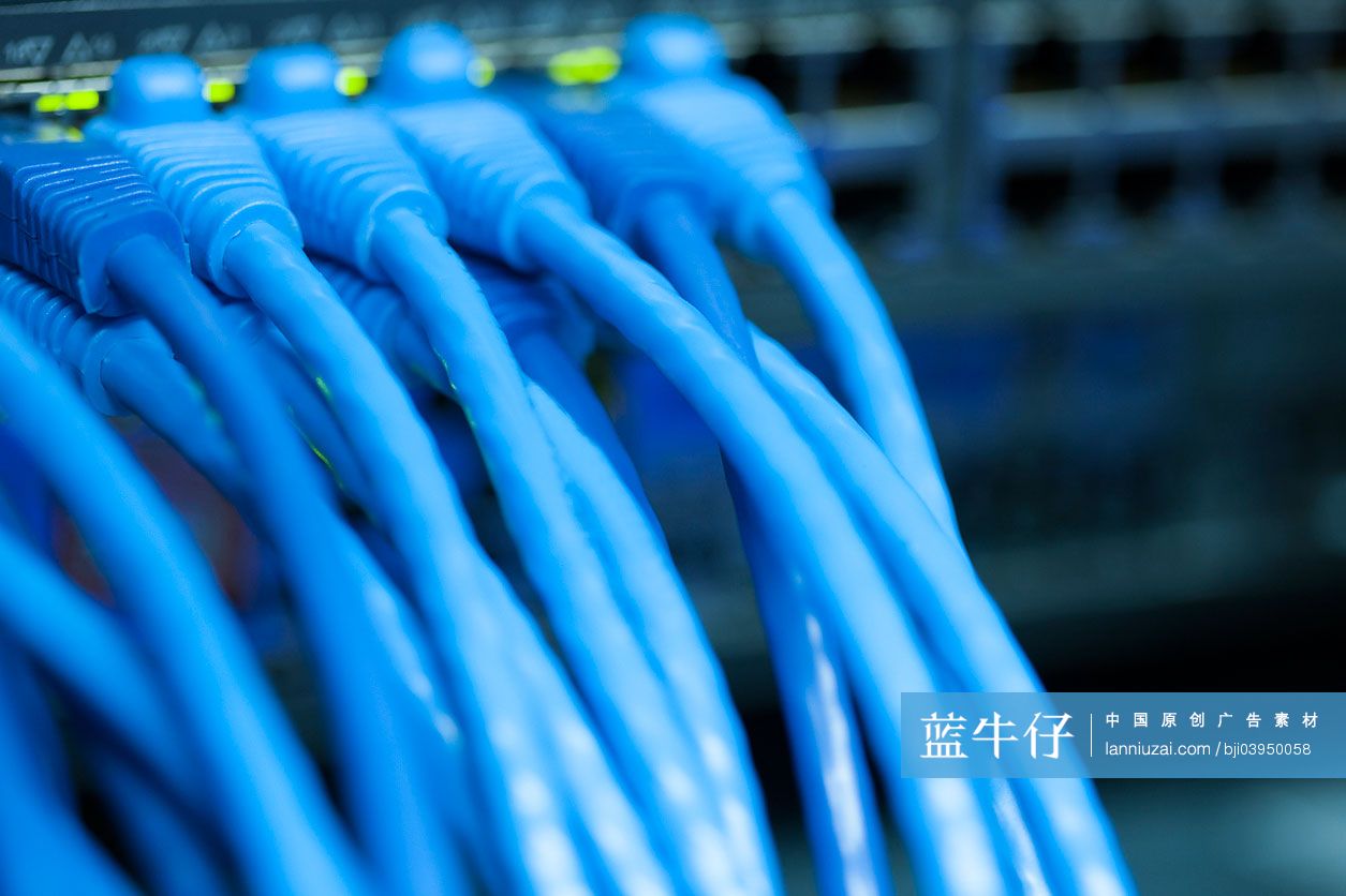 网络服务器和网线