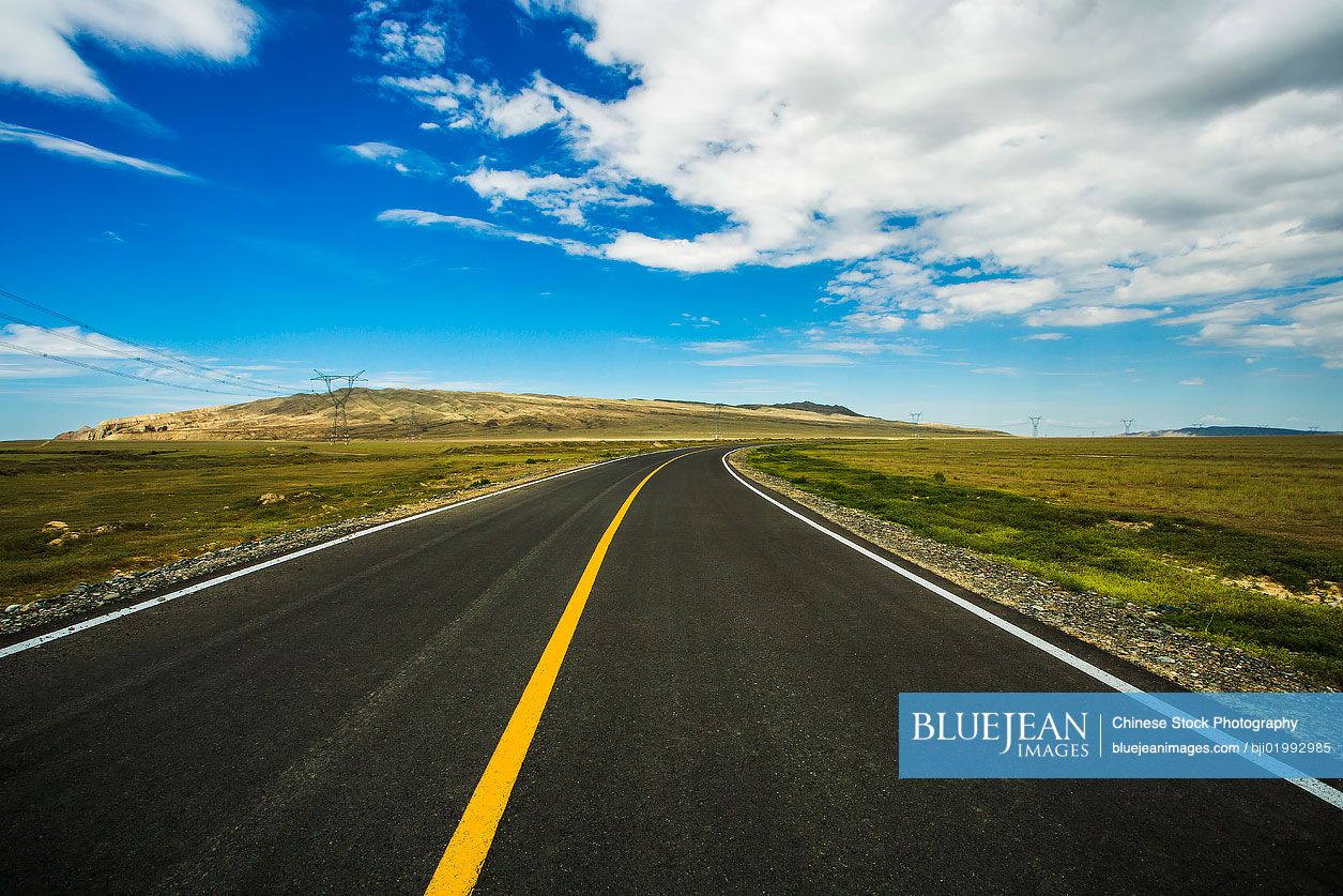 Highway in the wilderness