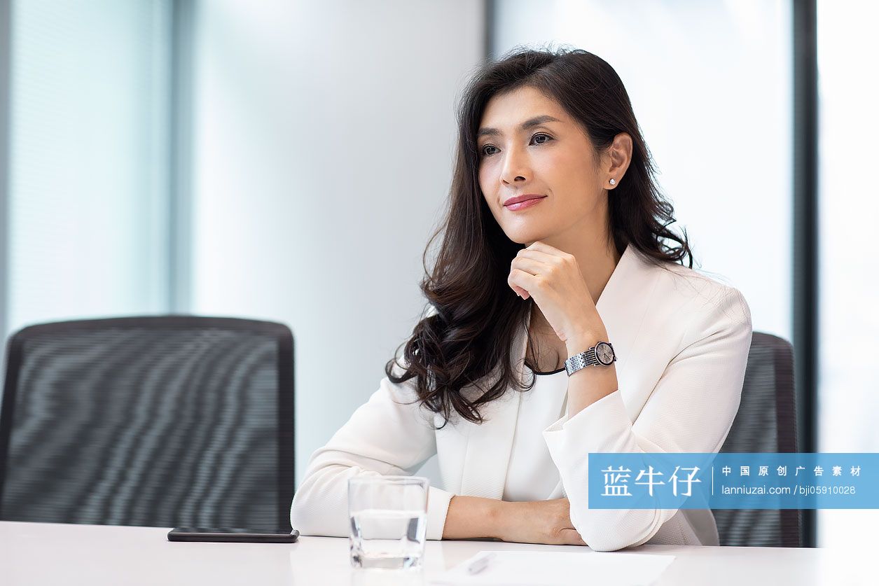 漂亮的商务女士在会议室