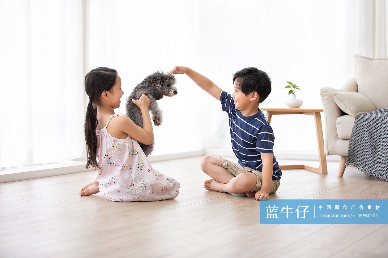 兄妹俩在家和狗玩耍 蓝牛仔影像 中国原创广告影像素材