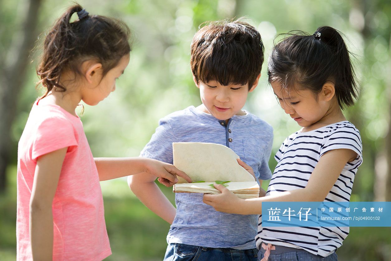 儿童在树林里采集树叶做标本