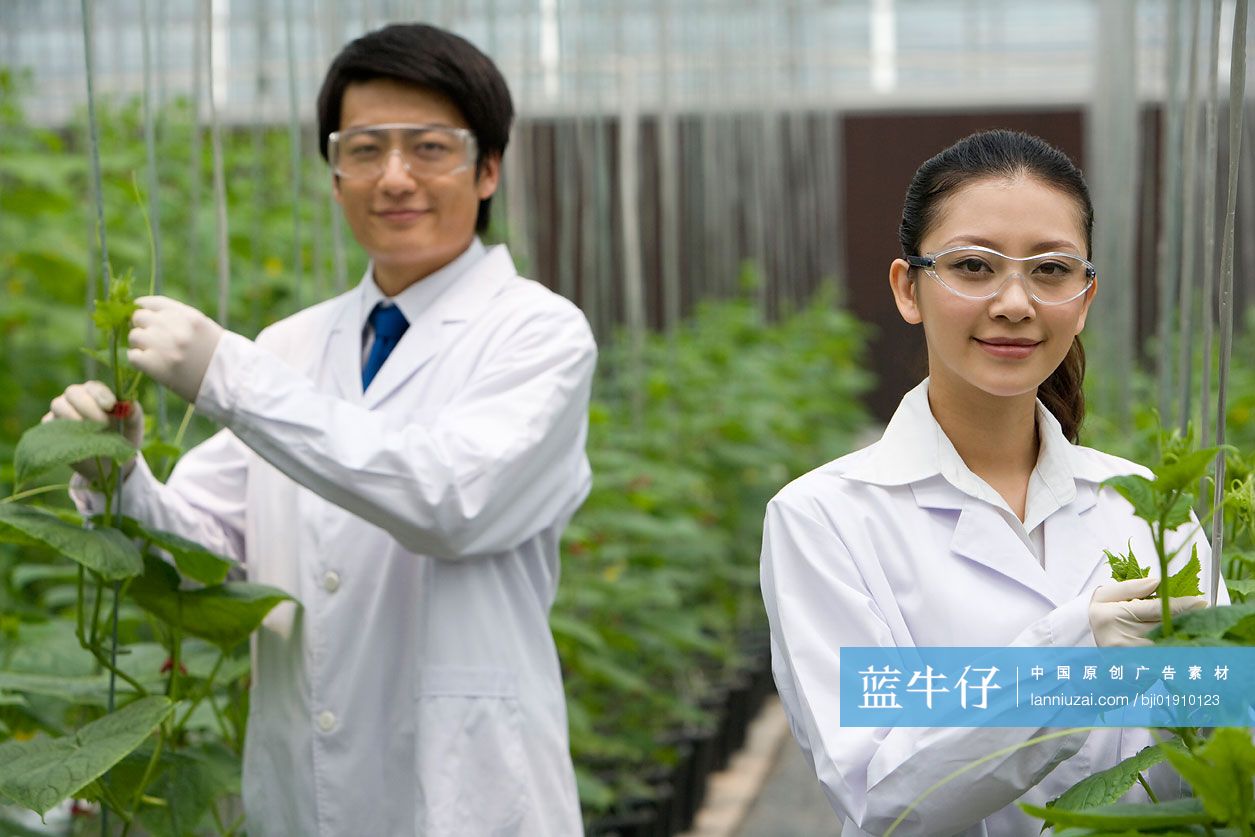 农艺师在现代农庄做科学研究