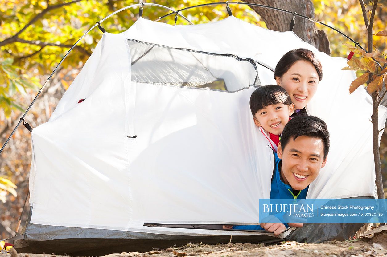 Cheerful Chinese family enjoying the camping time