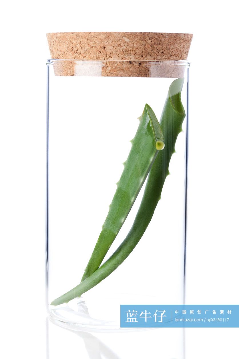 装在玻璃瓶中的芦荟