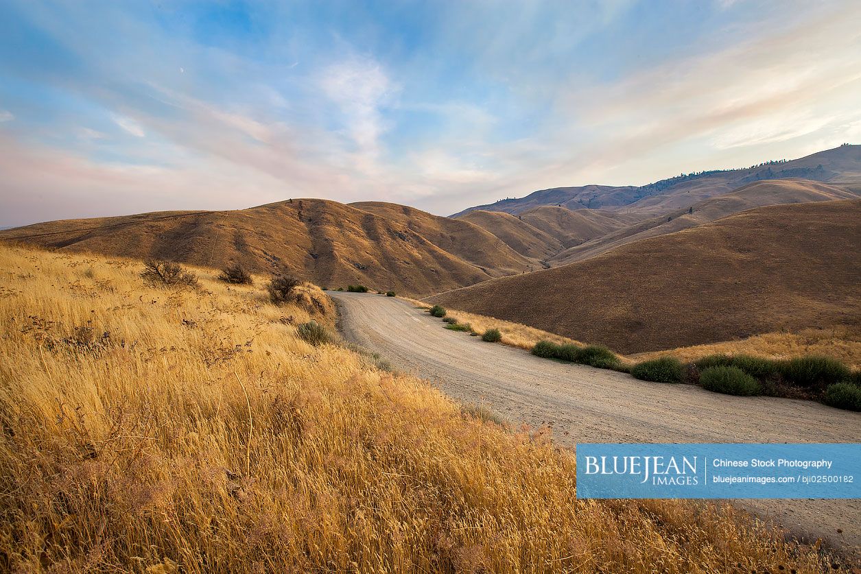 Dirt road in Washington State,USA