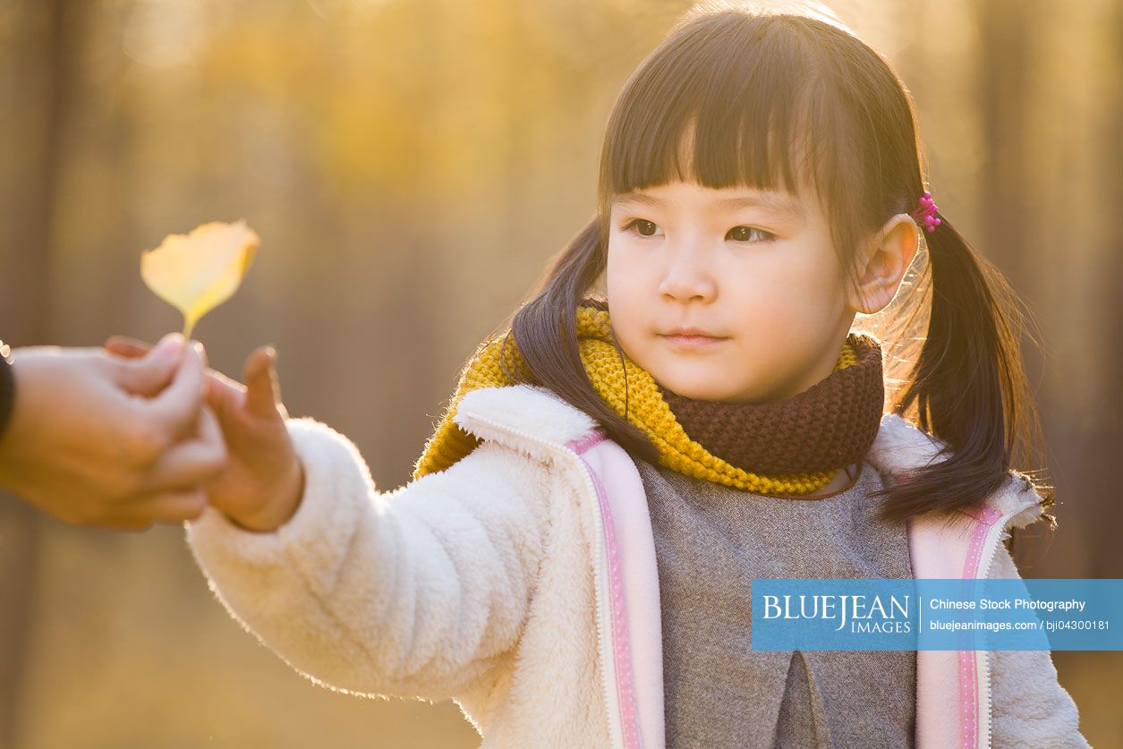 Little Chinese girl reaching out to receive a leaf