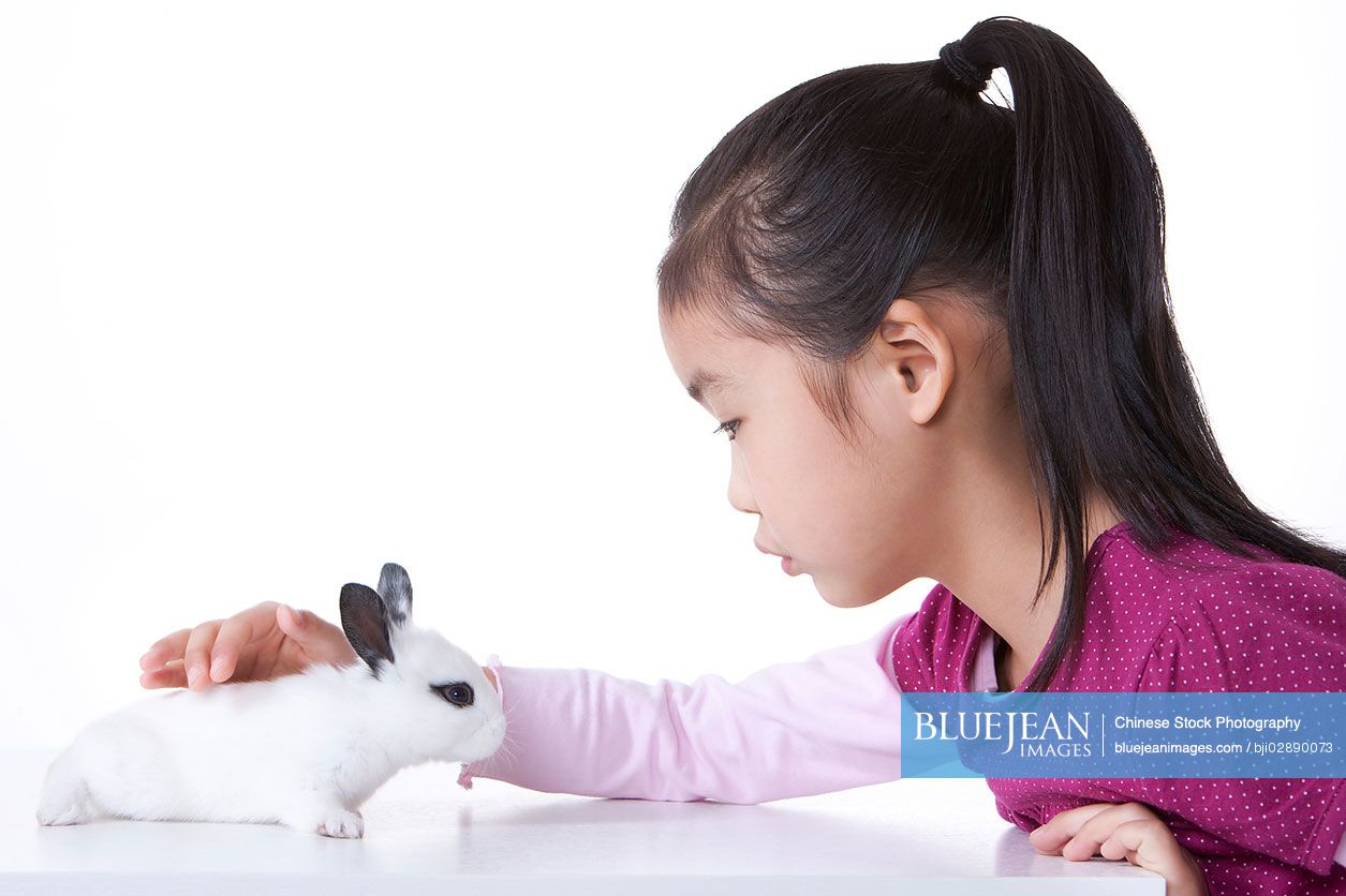Little Chinese girl playing with rabbit