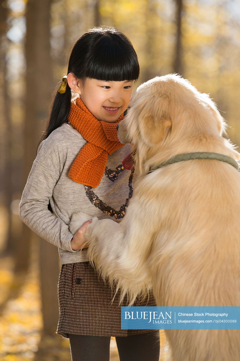 Little chinese girl playing with dog in autumn woods high res stock