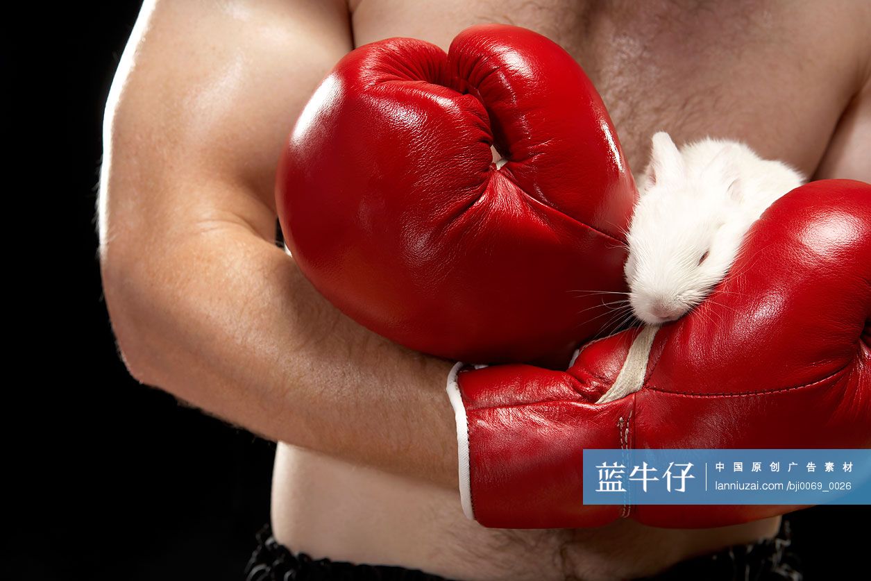 手拿兔子的白人拳击手手部特写