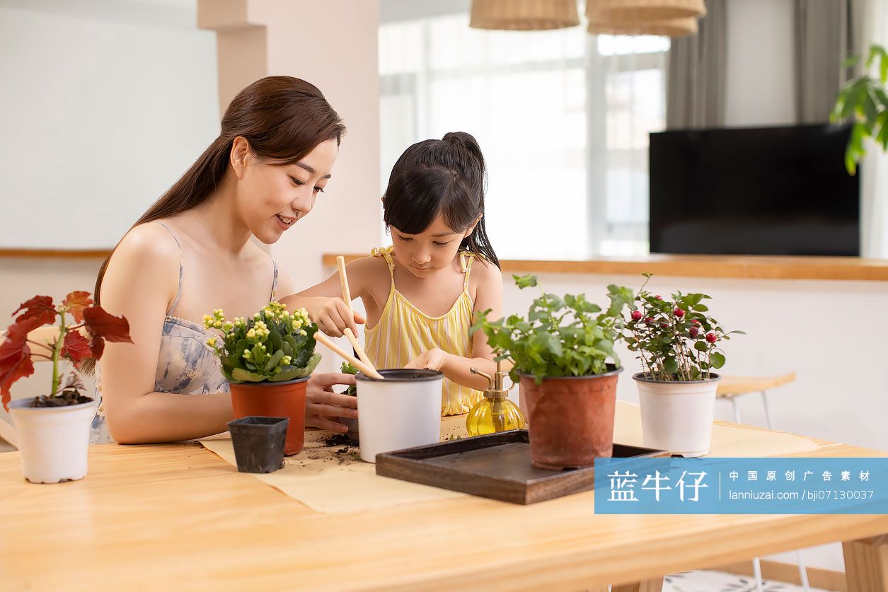 快乐的母女俩在家里种植盆栽
