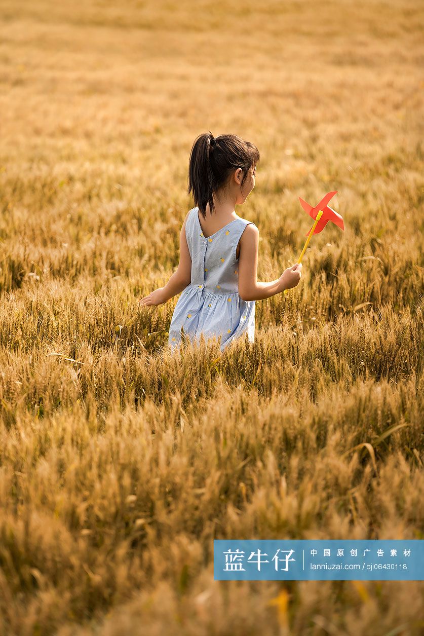 小女孩在麦田里玩风车玩具