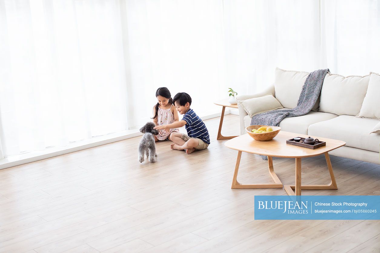 Happy Chinese sibling playing with dog in living room