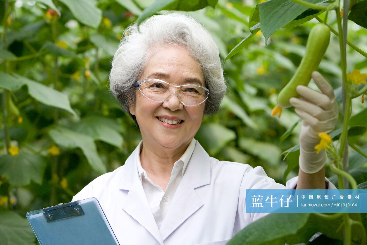 农艺师在现代农庄做科学研究