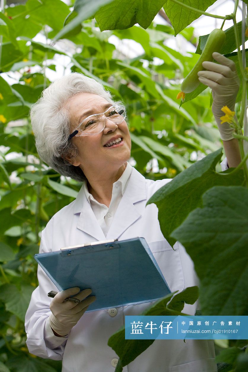 农艺师在现代农庄做科学研究
