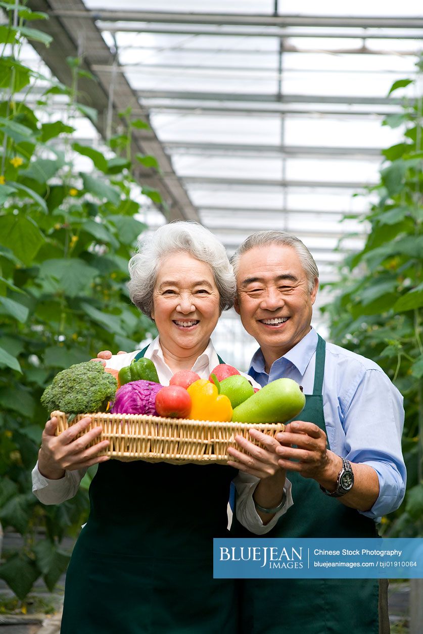 Chinese farmer holding vegetables in modern farm