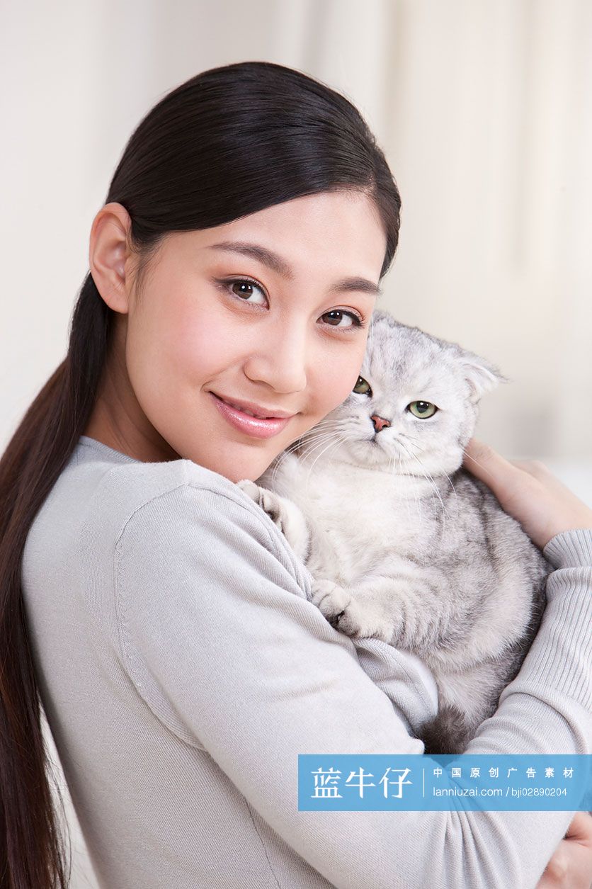 青年女子和苏格兰折耳猫