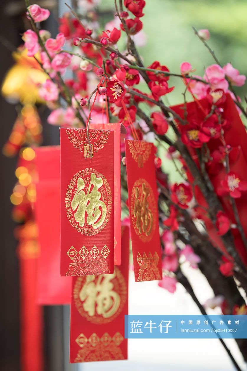 挂在梅花枝上的红包