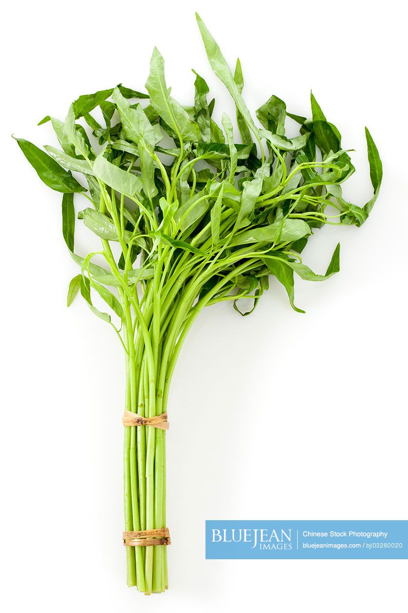 A bundle of water spinach