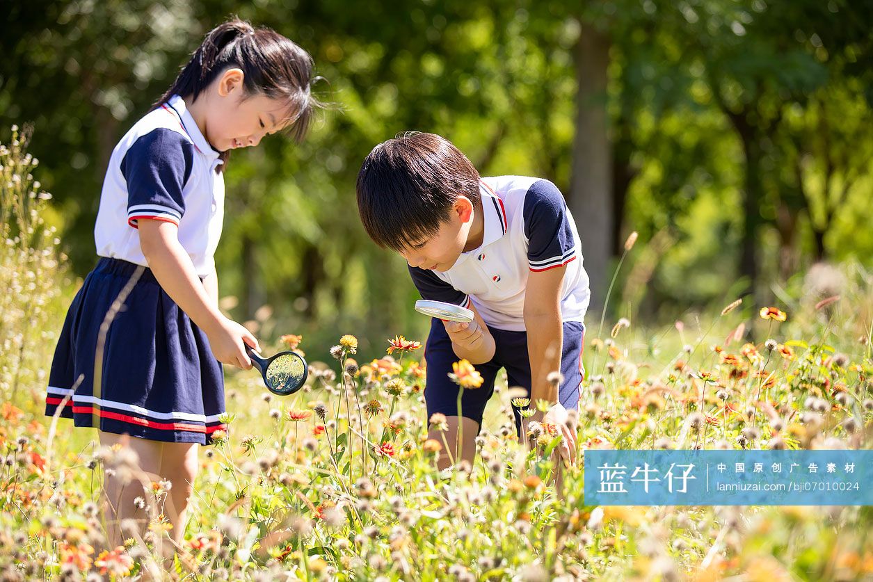快乐的小学生在户外探索自然