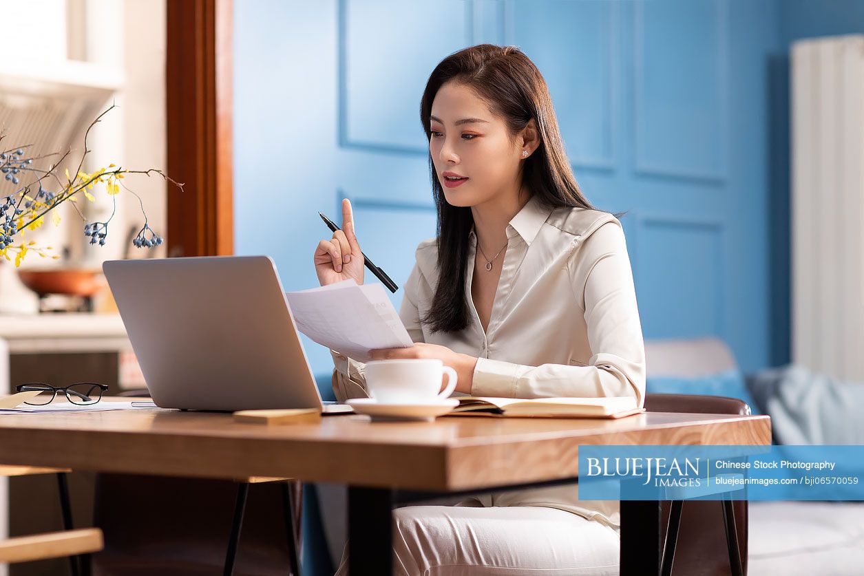Young Chinese woman working with laptop at home