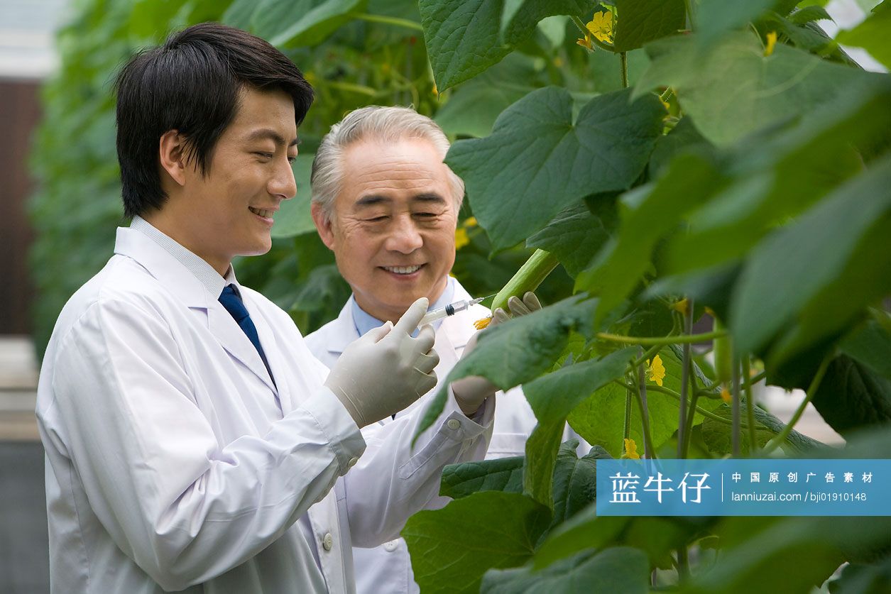 农艺师在现代农庄做科学研究