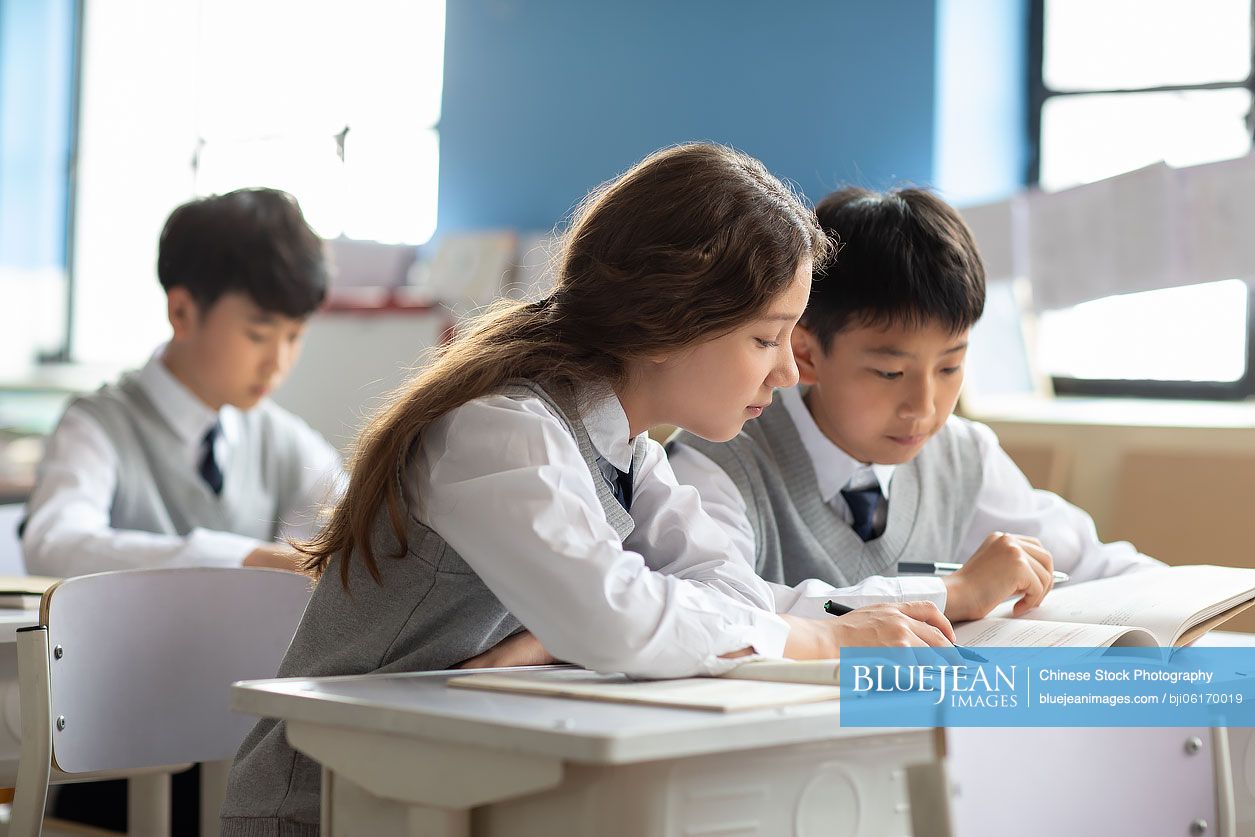 Students learning in classroom