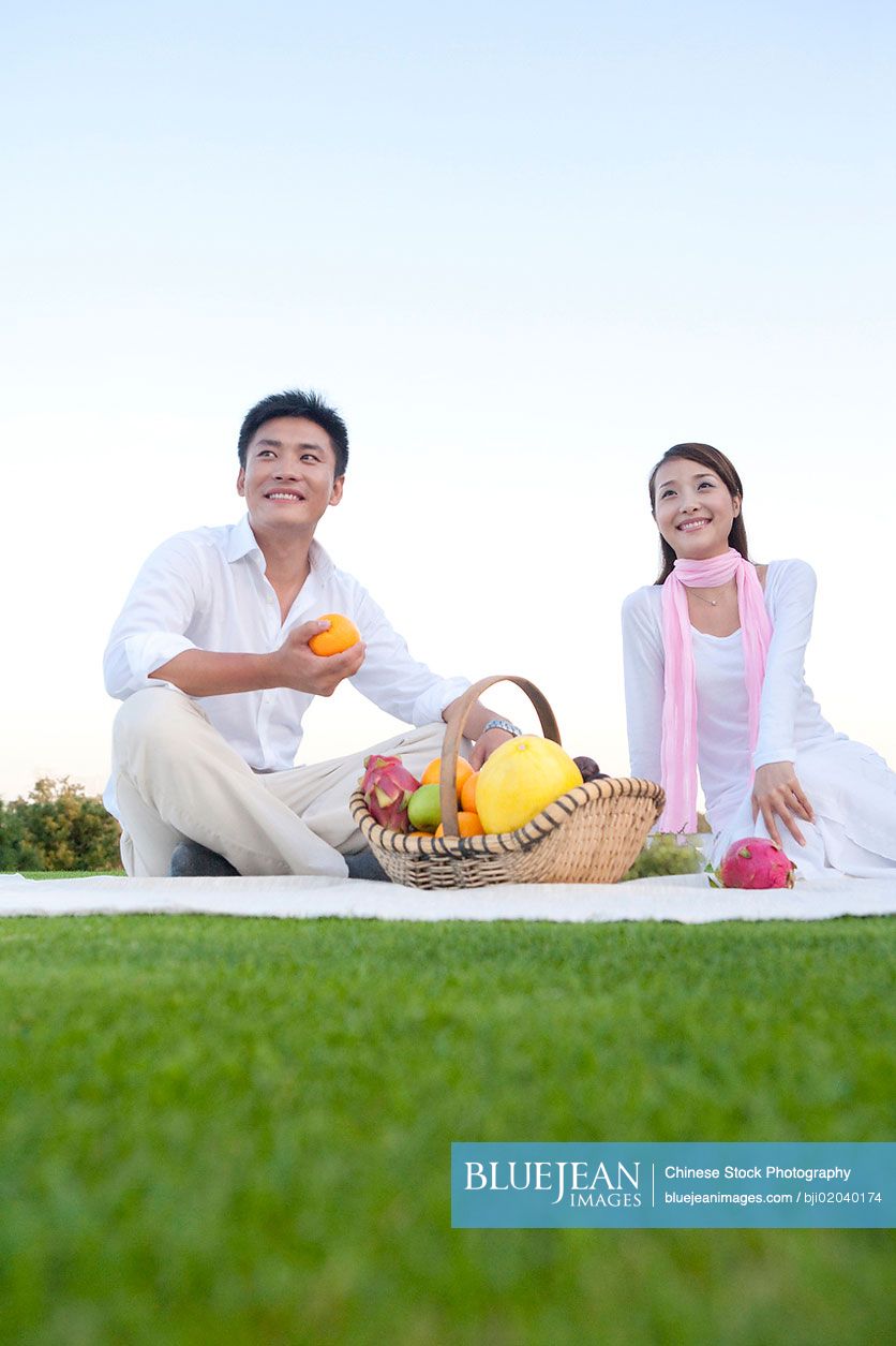 Young Chinese couple enjoying a picnic in the park